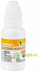 Biogalenica Glicerina Boraxata 10% 25g