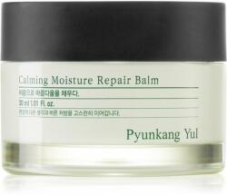 Pyunkang Yul Calming Moisture Repair Balm Balsam de buze regenerator di hidratant pentru piele sensibilă 30 ml