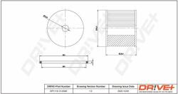 Dr! ve+ filtru combustibil Dr! ve+ DP1110.13. 0048 (DP1110.13.0048) - automobilus