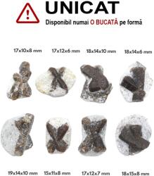 Staurolit - Piatra Crucii Bruta Naturala 15-19 x 10-15 x 6-10 mm - ( S ) - 1 Buc