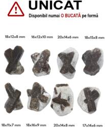 Staurolit - Piatra Crucii Bruta Naturala 16-20 x 11-16 x 6-10 mm - ( M ) - 1 Buc