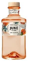 G'Vine June Gin liqueur 0, 7 30%