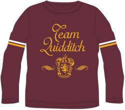 EPlus Tricou cu mânecă lungă pentru băieți - Harry Potter Metlobal Burgundy Mărimea - Copii: 164