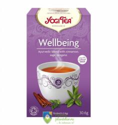 YOGI TEA Ceai Bio Mereu Tanar Yogi Tea 30.6 gr (17 plicuri)