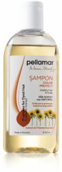 Pell Amar Sampon pentru par vopsit cu extract de floarea-soarelui 250 ml