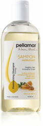 Pell Amar Sampon hidratant cu miere de albine 250 ml