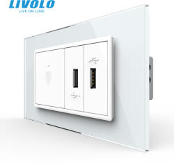 LIVOLO Intrerupator cu touch integrat si priza dubla USB, 4M, cu rama sticla Livolo (VL-FC1-2FCUS-2WP-P9E)