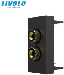 LIVOLO Modul priza cu mufa redare sunet 1M Livolo (VL-FCSD-1BP)
