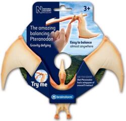 Brainstorm Jucarie Brainstorm - Uimitorul Pteranodon care se echilibreaza (N5150) Figurina