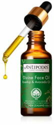 Antipodes Ápoló olaj fáradt és igénybe vett bőrre Divine Face Oil (Rosehip & Avocado Oil) 30 ml
