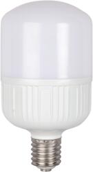  Bec LED E40 6500K 40W Total Green