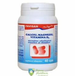 FAVISAN Calciu Magneziu D3 40 capsule