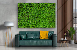 Persona Tablou Canvas - Covorul verde - tapet-canvas - 150,00 RON