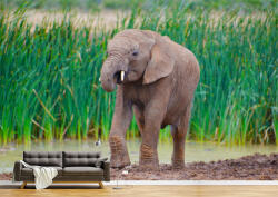Persona Tapet Premium Canvas - Puiul de elefant - tapet-canvas - 720,00 RON