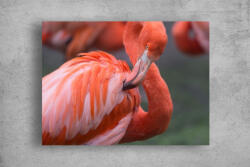 Persona Tablouri Canvas Animale - Flamingo roz salbatic - tapet-canvas - 150,00 RON