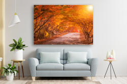 Persona Tablou Canvas - Toamna prin padurea de artari - tapet-canvas - 120,00 RON