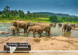 Persona Tapet Premium Canvas - Grup de elefanti la lac - tapet-canvas - 480,00 RON