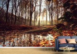 Persona Tapet Premium Canvas - Lacul inconjurat de frunze si copaci - tapet-canvas - 340,00 RON