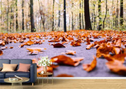 Persona Tapet Premium Canvas - Peisaj de toamna cu frunze pe asfalt - tapet-canvas - 340,00 RON