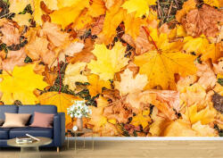 Persona Tapet Premium Canvas - Covorul de frunze - tapet-canvas - 480,00 RON