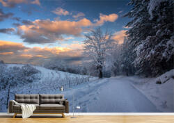 Persona Tapet Premium Canvas - Drumul acoperit de zapada si cerul colorat - tapet-canvas - 340,00 RON