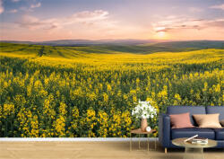 Persona Tapet Premium Canvas - Campul de flori galbene la apus - tapet-canvas - 340,00 RON