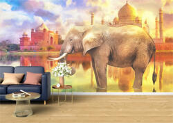 Persona Tapet Premium Canvas - Elefant la Taj Mahal - tapet-canvas - 480,00 RON