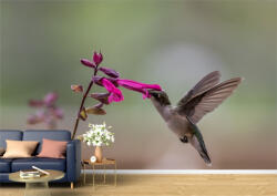 Persona Tapet Premium Canvas - Pasarea colibri si floarea - tapet-canvas - 480,00 RON
