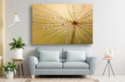Persona Tablou Canvas - Roua pe papadie - tapet-canvas - 120,00 RON