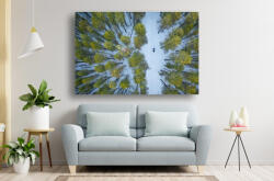 Persona Tablou Canvas - La plimbare prin padurea inzapezita - tapet-canvas - 100,00 RON