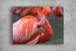 Persona Tablouri Canvas Animale - Flamingo roz salbatic - tapet-canvas - 120,00 RON
