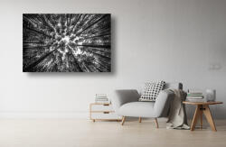 Persona Tablou Canvas - Privind spre cer printre copaci - tapet-canvas - 120,00 RON