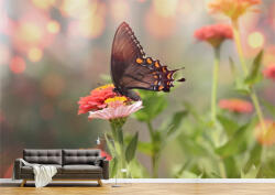 Persona Tapet Premium Canvas - Fluturele pe floarea colorata - tapet-canvas - 340,00 RON