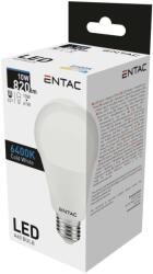 Entac E27 10W 6400K (LLG27-10W-CW)