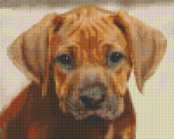 Pixelhobby Pixel szett 4 normál alaplappal, színekkel, kutyakölyök - kreativjatektarhaz - 19 390 Ft