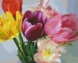 Pixelhobby Pixel szett 9 normál alaplappal, színekkel, tulipánok