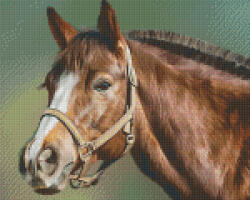 Pixelhobby Pixel szett 9 normál alaplappal, színekkel, ló - kreativjatektarhaz - 42 990 Ft