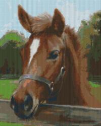 Pixelhobby Pixel szett 9 normál alaplappal, színekkel, ló - kreativjatektarhaz - 36 990 Ft