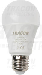 TRACON A60 E27 12W 2700K 1430lm (LA6012W)