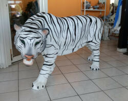  Tigris-fehér