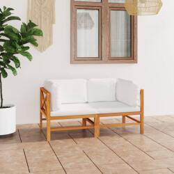 vidaXL Canapea de grădină cu 2 locuri, perne crem, lemn masiv de tec (3087206) - comfy