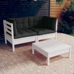vidaXL Set mobilier de grădină cu perne antracit, 3 piese, lemn pin (3096017) - comfy