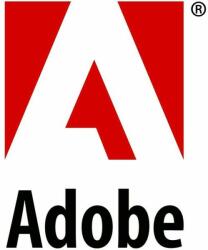 Adobe Acrobat Standard DC for TEAMS Win (1 Year) (65297913BA01A12)