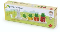 Tender Leaf Numaratoarea morcovilor din lemn, Tender Leaf Toys, 16 piese
