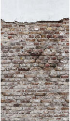 AA Design Fototapet perete vintage aspect de caramida si tencuiala The Wall (383331)