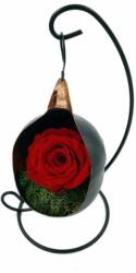 BiaRose Trandafir Criogenat pe pat de muschi in fotoliu suspendat Galben Neon