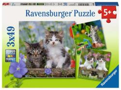 Ravensburger Kiscicák 3x49 db-os (08046)