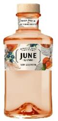 G'Vine June Wild Peach Gin 30% 0,7 l