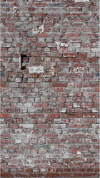 AA Design Fototapet perete caramida vintage The Wall (383371)