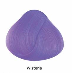 Directions Colorat păr DIRECTIONS - wisteria